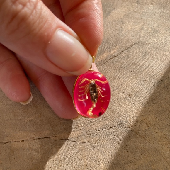 Real Ant Scorpion Beetle Spider Pendant Necklace Taxidermy insect necklace chain - Picture 3 of 11